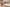 Trending List Of The Best Body Soaps For Women And Men In The Year 2019!